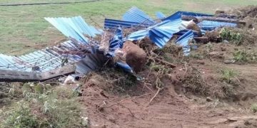गौतमबुद्ध क्रिकेट रंगशाला ११ महिनादेखि अलपत्र, रडमा खिया लागे, मैदानमा झाडी पलायो