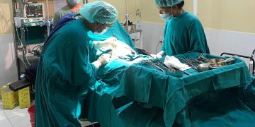 अब मरेका मान्छेलाई पनि पुनः जिउँदो बनाउन सकिने डाक्टरको दाबी
