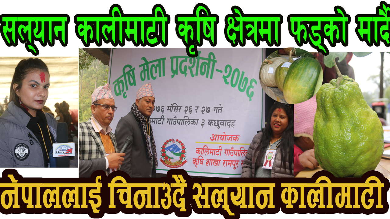 (Video)नेपाललाई चिनाउँदैँ सल्यान कालीमाटी ..कृषि क्षेत्रमा फडकीदैँ..Salyan Kalimati..