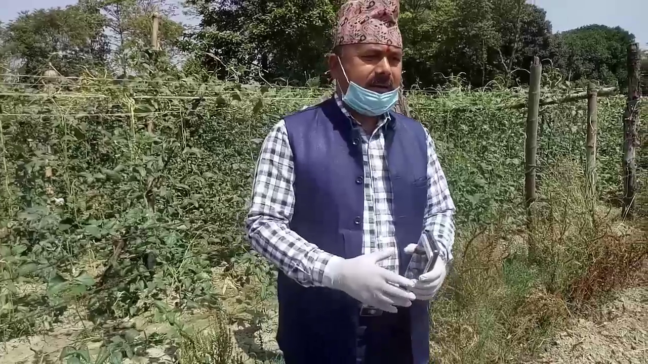 कृषि एम्बुलेन्स संचालनमा ल्याएको देवदह नगरपालिकाका नगर प्रमुख हिरा बहादुर खत्रीले बताउनु भयो