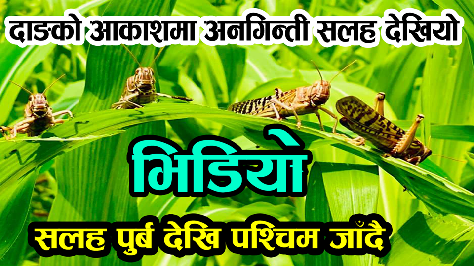 दाङको आकाशमा सलह देखियो, सलह पुर्ब देखि पश्चिम् जाँदै(भिडियो)
