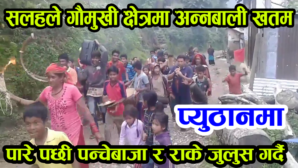 सलहले गौमुखी क्षेत्रमा अन्नबाली तरकारी खाएर खतम पारे पछी पन्चेबाजा र राके जुलुस गर्दै (भिडियो)