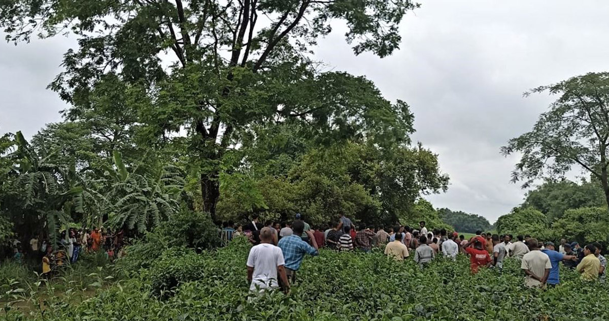 झापामा एउटा रूखमा सामुहिक मृत फेला परेका किशोरीले आत्महत्या गरेको प्रहरीको पुष्टी