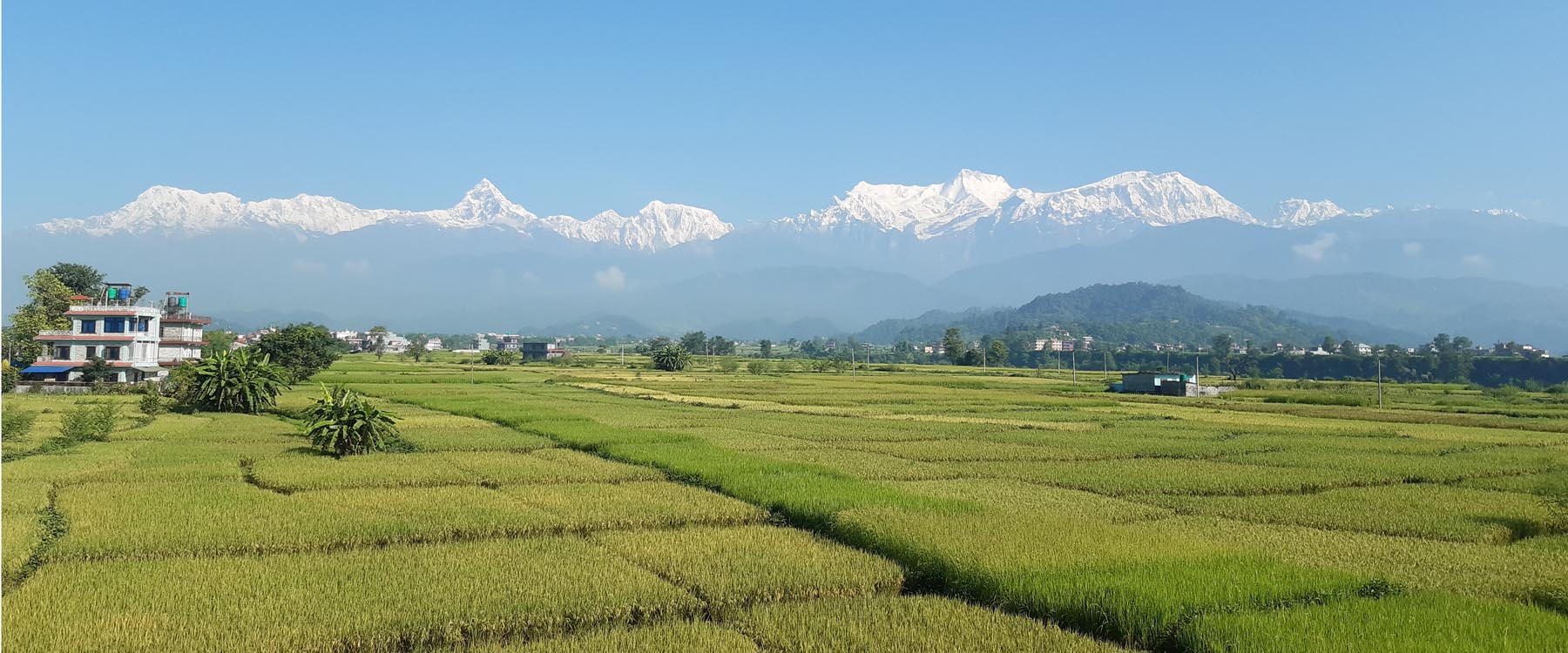 माछापुच्छ्रे हिमाल: