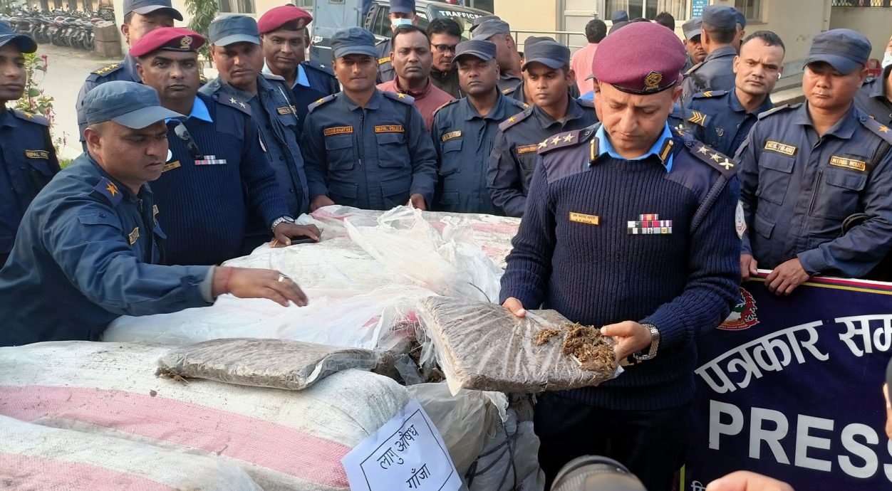 सप्तरीमा आठ सय १० केजी गाँजा बरामद