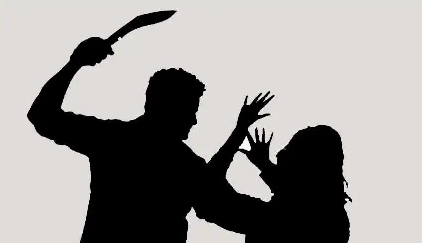दाङको बिजौरीमा ग्रासी प्रहारबाट २ जना सख्त घाइते