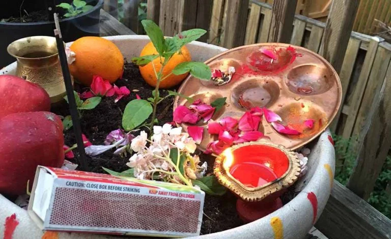 निर्जला एकादशी : घर घरमा तुलसीको दल राखिँदै
