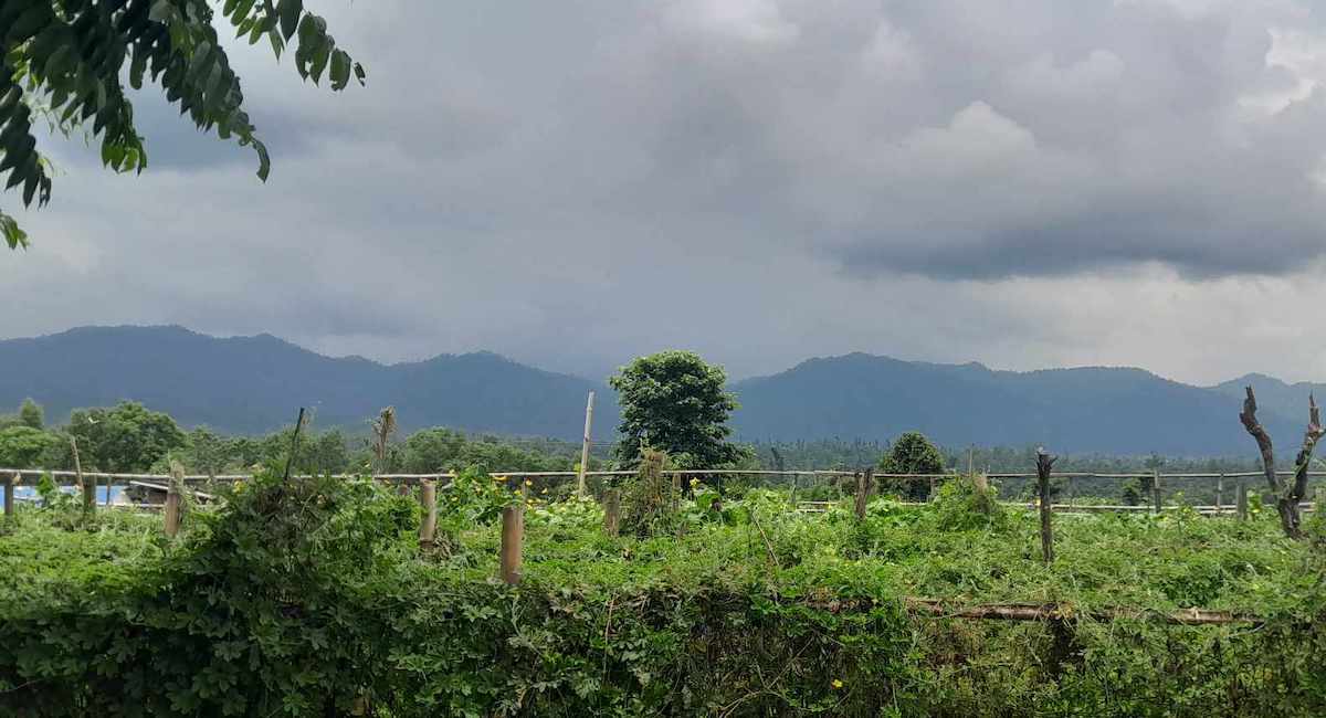 खेतीमा रमाएका बाबुछोरा भन्छन्– आम्दानी राम्रो छ, अब फेरि किन जानु विदेश!