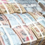 जडीबुटी बेचेर चार करोड राजस्व संकलन