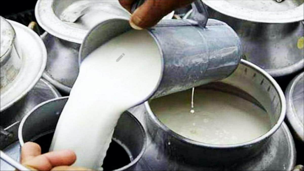 घोराहीका पाँचवटा डेरीमा मिसावट