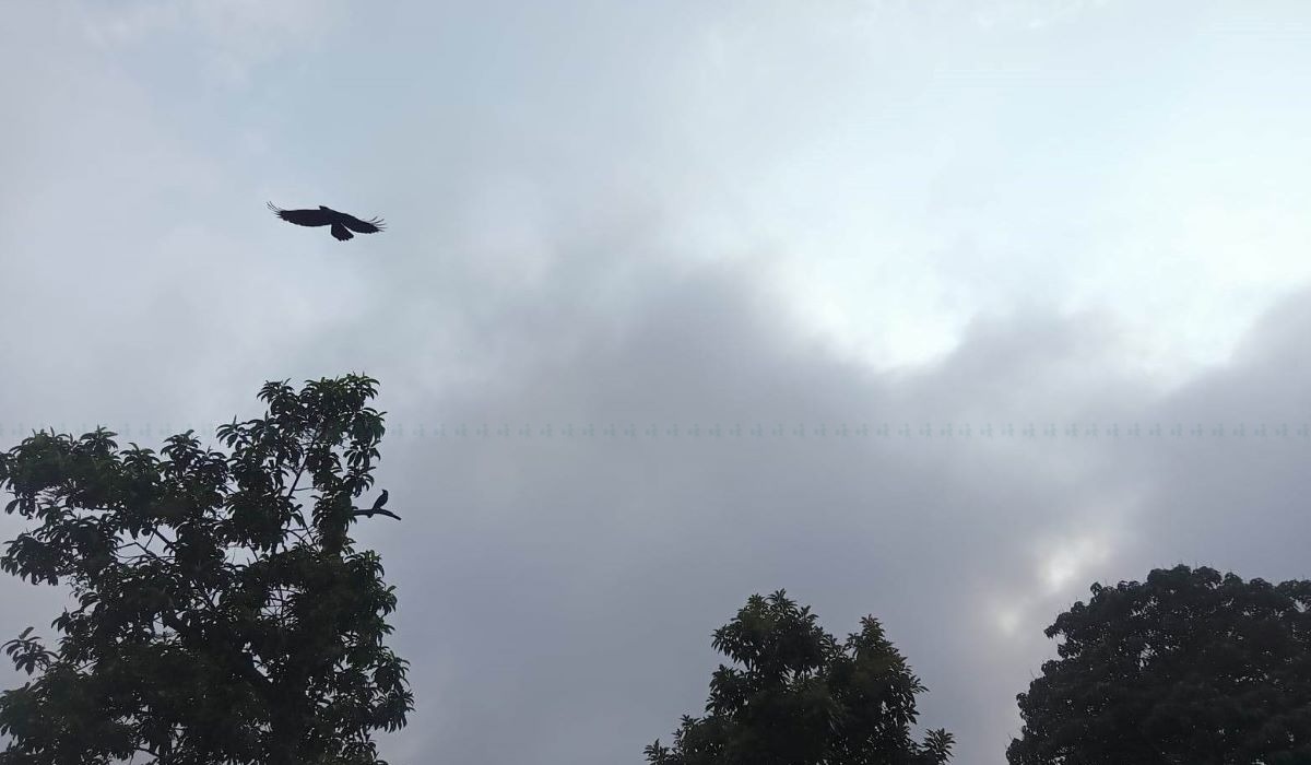 बंगालको खाडीमा विकसित न्यूनचापीय प्रणालीले देशका अधिकांश भागमा वर्षा