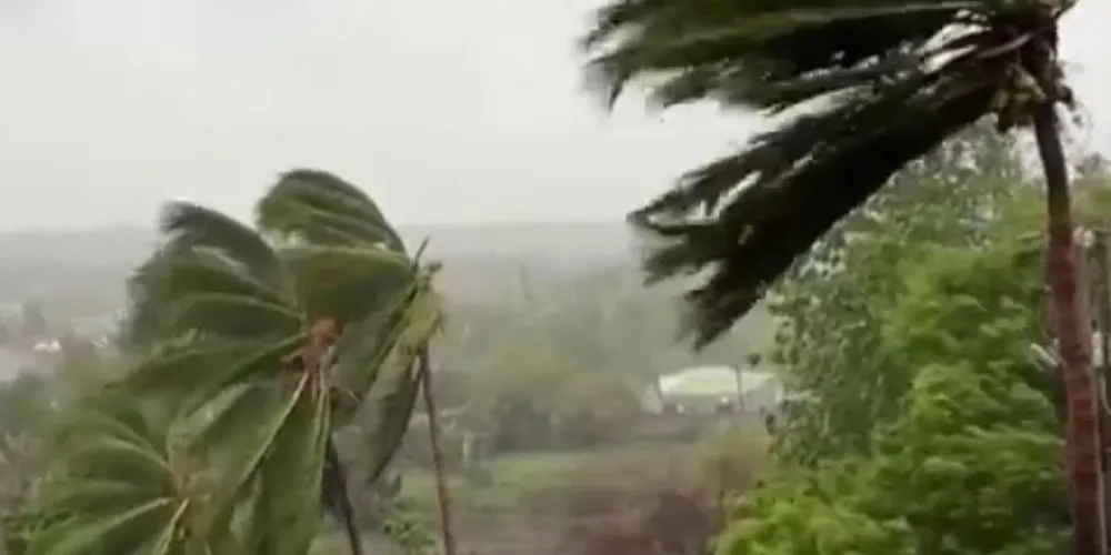 मोजाम्बिकमा आँधीले ९४ को मृत्यु