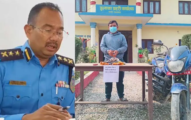 मनहरीमा ठूलो परिमाणको अफिमसहित मानिस पक्राउ
