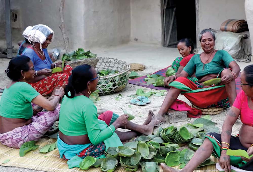 रोपाइँ सकिएपछि​​​​​​​ थारू बस्तीमा हर्डहुवाको रौनक