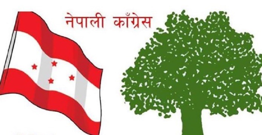 कांग्रेसले जित्यो ११ सिट, को कहाँबाट ?