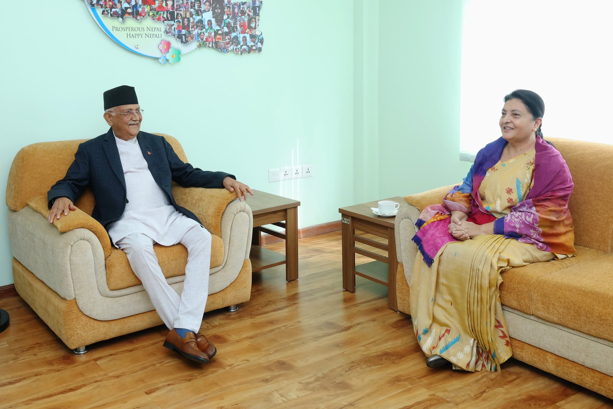 पूर्वराष्ट्रपति भण्डारी र अध्यक्ष ओलीबिच भेटवार्ता : के–के भयो  छलफल ?