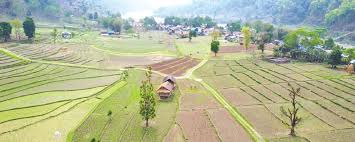 जग्गा किनेर पीडित भएका झन् पीडामा