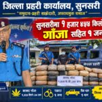 सुनसरीमा १ हजार ४ सय ५४ किलो ८७० ग्राम गाँजा सहित १ जना पक्राउ