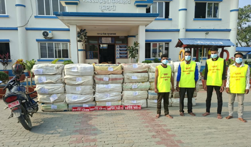 नौ क्विन्टलभन्दा बढी गाँजासहित चार जना पक्राउ